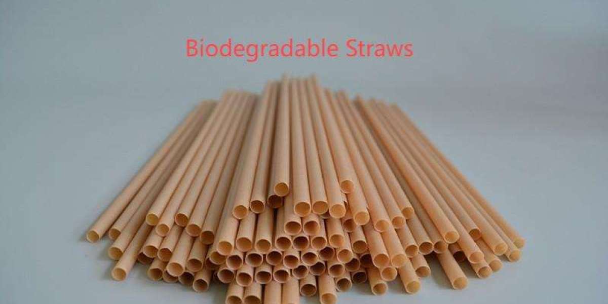 Why Polypropylene Straws Lead in Foodservice