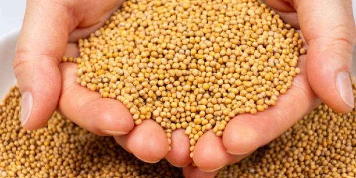 Why Mustard Seeds Are a Must-Have in Your Kitchen & Wellness Routine