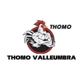 TRỰC TIẾP ĐÁ GÀ THOMO HÔM NAY