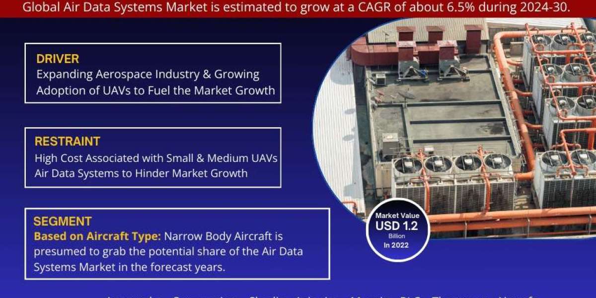 Air Data Systems Market Analysis: Key Players, Competition & Forecast 2030
