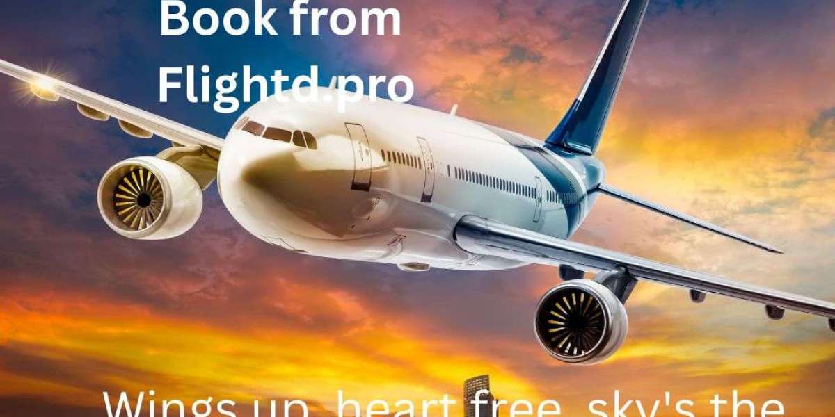 Flightd: Exploring the World of Flightd – Types, Characteristics, and Travel Experience