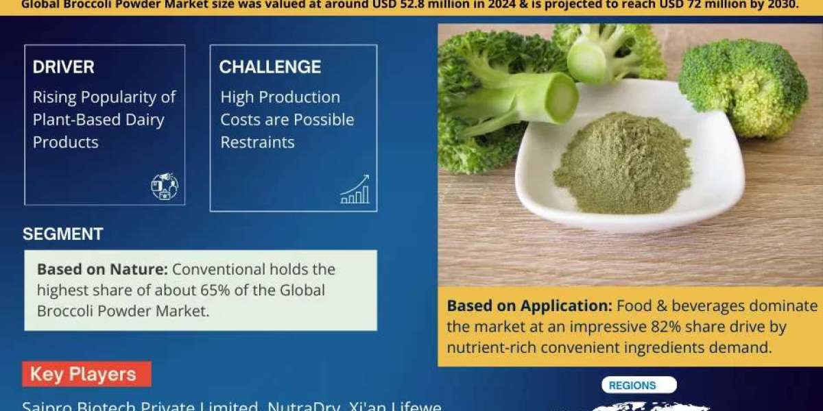 Broccoli Powder Market Dynamics – Driver, Segment & Competition FY2030