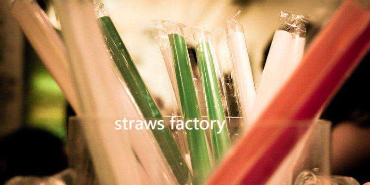Soton’s Role in the Future of Green Dining
