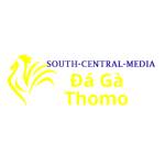 Đá Gà Trực Tiếp Thomo
