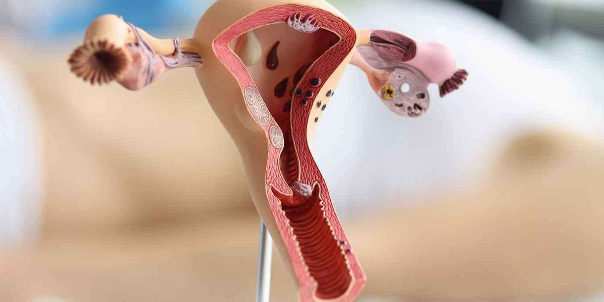 Cosmetic vs. Reconstructive Gynecology: What’s the Difference?