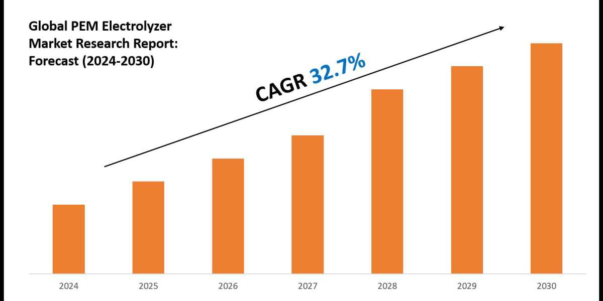 PEM Electrolyzer Market Forecast: Demand, Value & Player Insights 2030