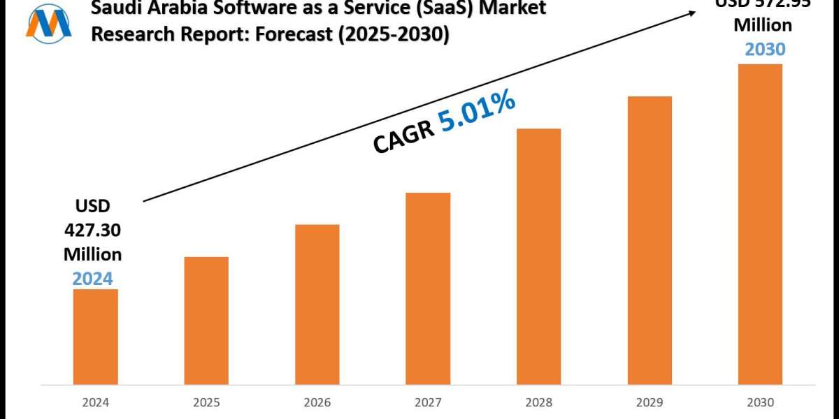 Saudi Arabia Software as a Service (SaaS) Industry Analysis: Companies, Competitors & Outlook 2030