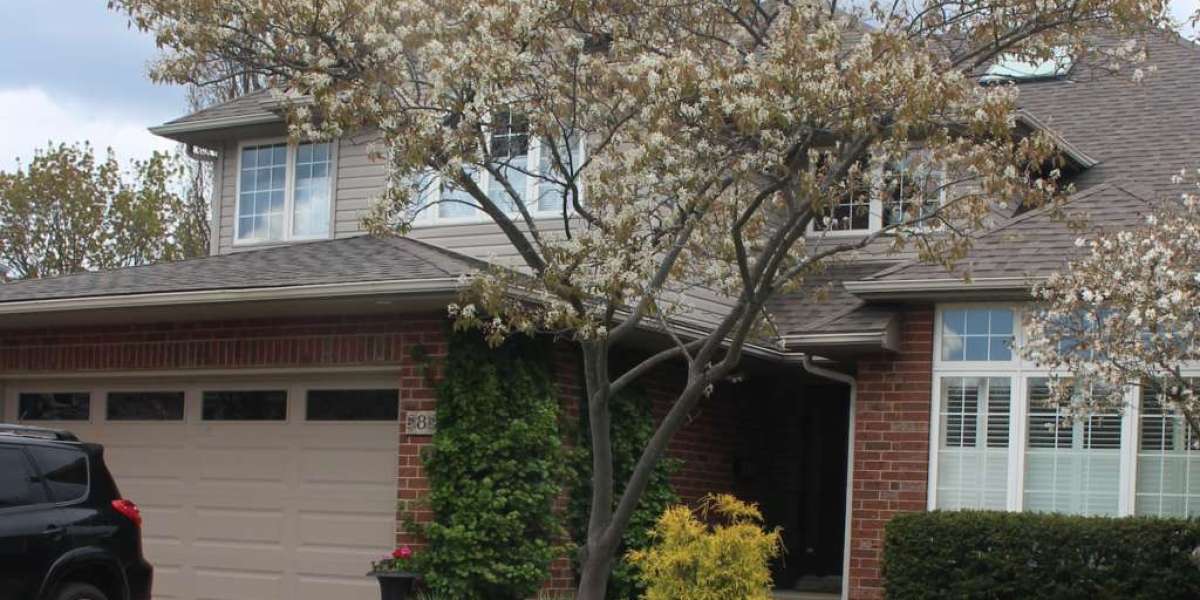 Tips for Planting Hackberry and Serviceberry Trees in Wheaton