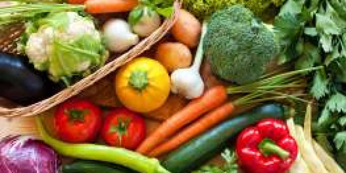 Why Choosing the Right Packaging Company in NZ Matters More Than Ever