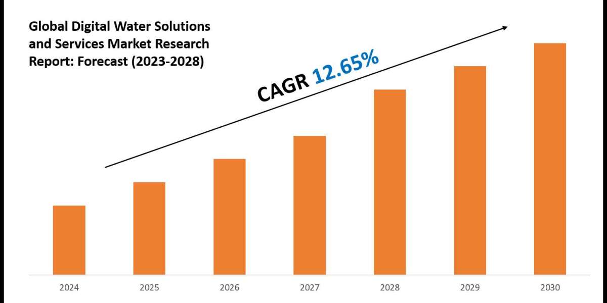 Digital Water Solutions and Services Industry Share, Size, and Competitive Landscape 2030