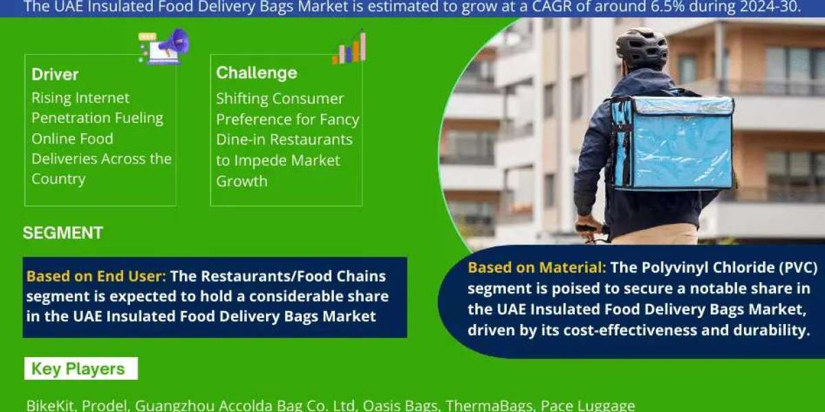 UAE Insulated Food Delivery Bags Market Outlook: Size, Share, and Competitive Trends 2030