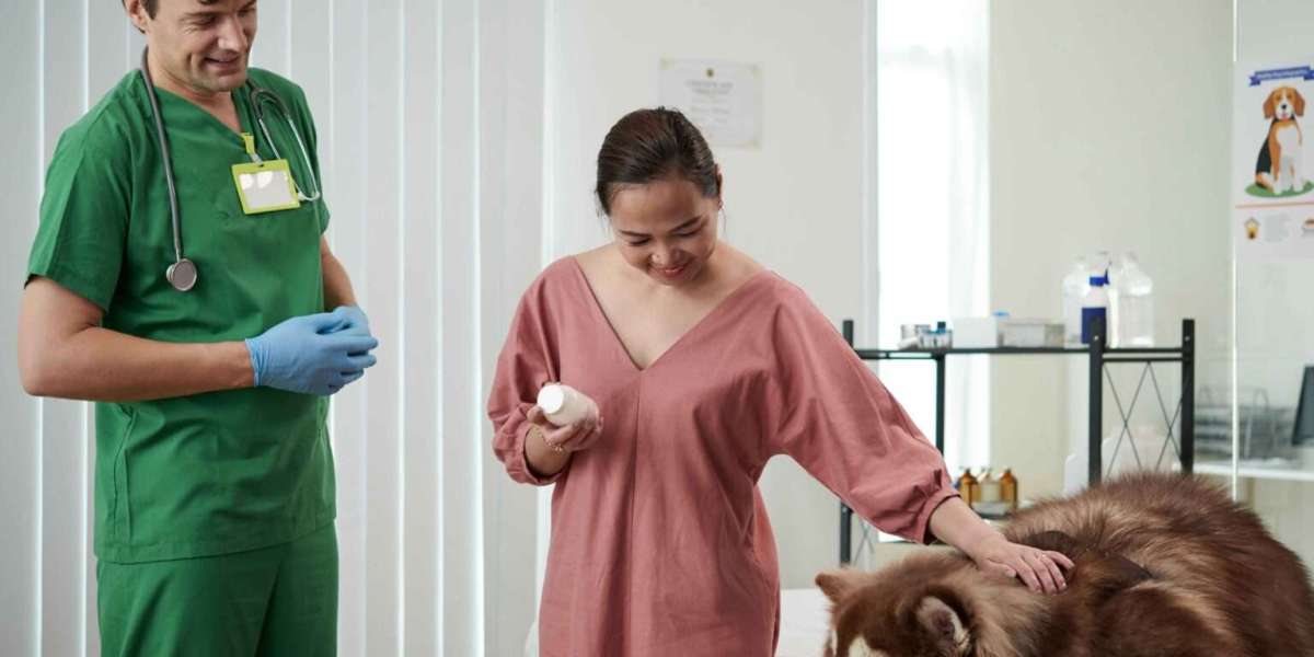 Vet Poison Control: How to Keep Your Pet Safe from Common Household Hazards