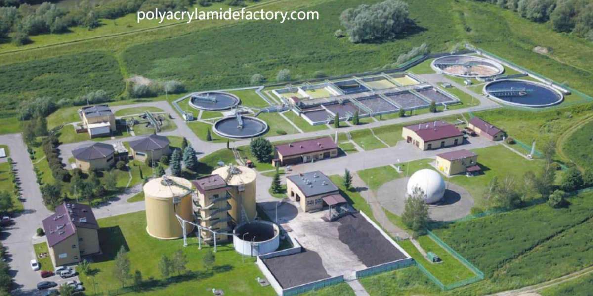 Mineral Processing Efficiency with Polyacrylamidefactory