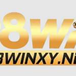 98winxy net