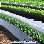Singhal landscapegeotextile