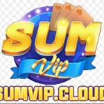 Sumvipcloud