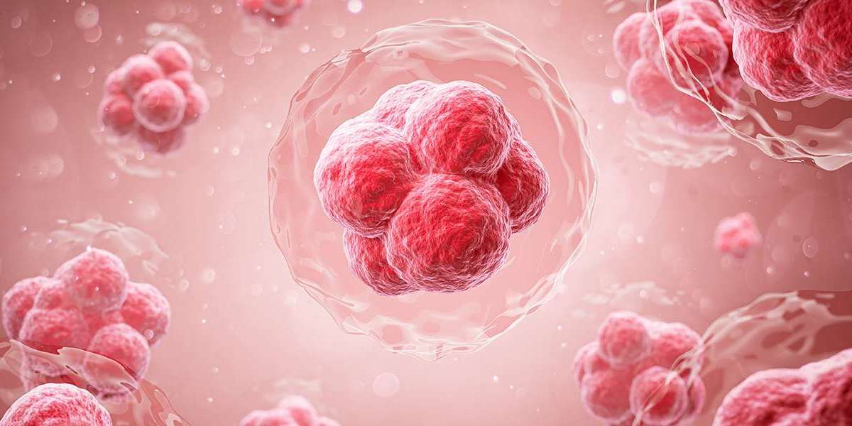 Does Health Insurance in Dubai Cover Stem Cell Treatments?