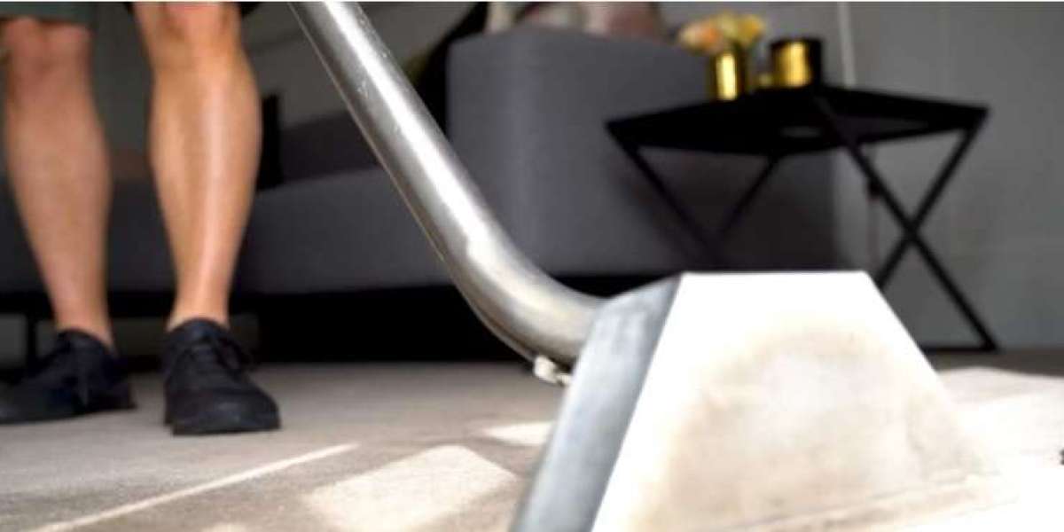 Comparing Carpet Cleaning Services in Auckland: What Matters Most