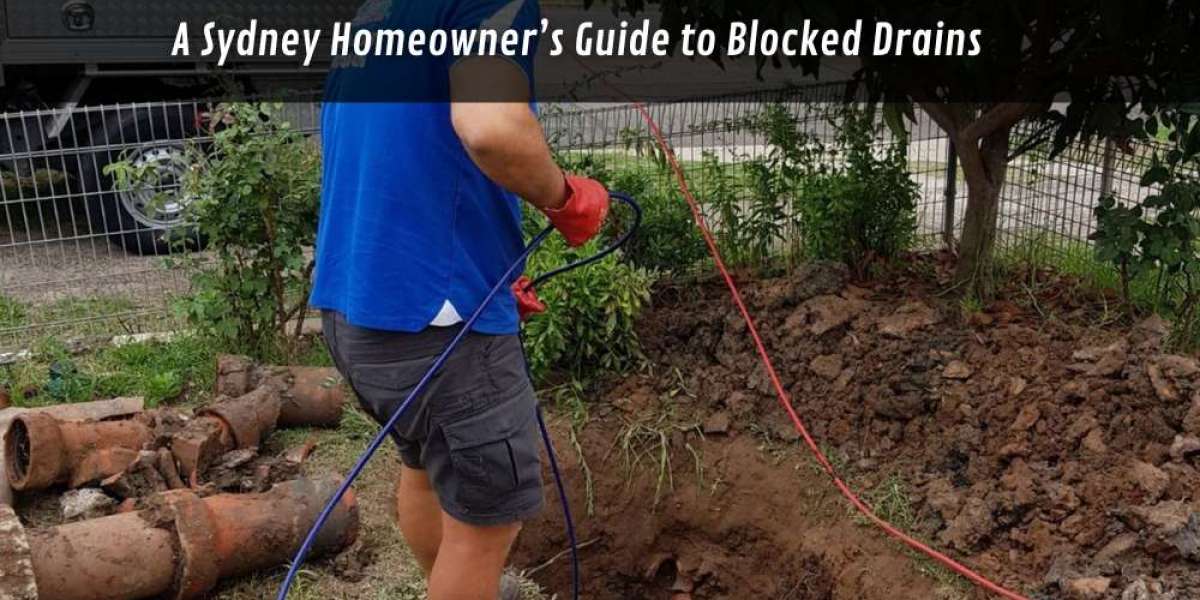 A Sydney Homeowner’s Guide to Blocked Drains