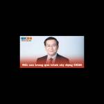 CEO Tống Giang