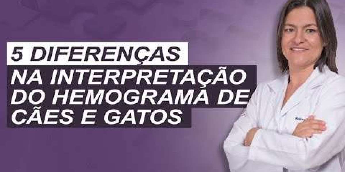Excesso de Potássio em Cães e Gatos: Causas e Cuidados Necessários