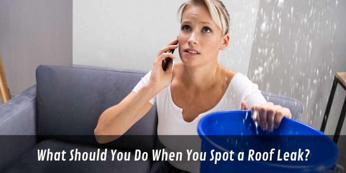 What Should You Do When You Spot a Roof Leak?
