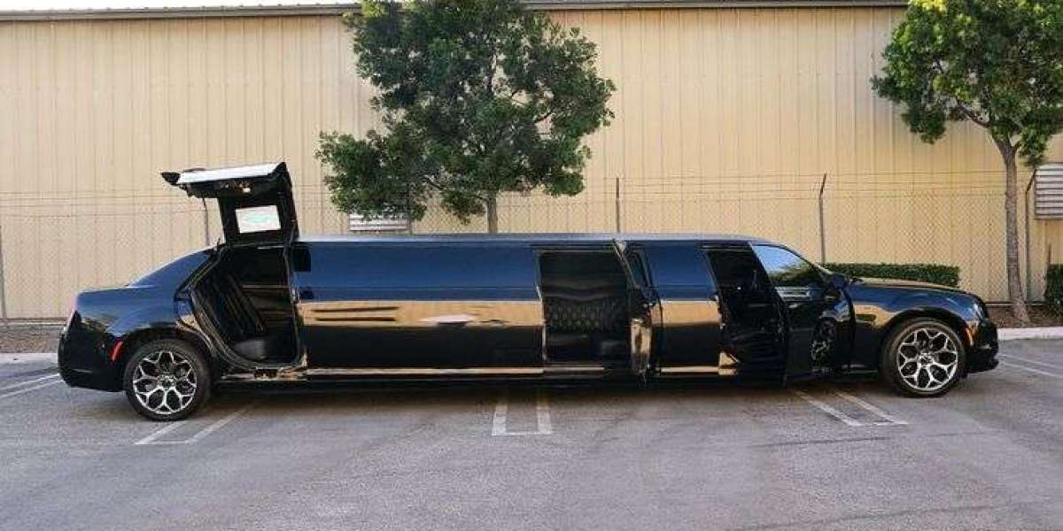 Party Bus Rentals