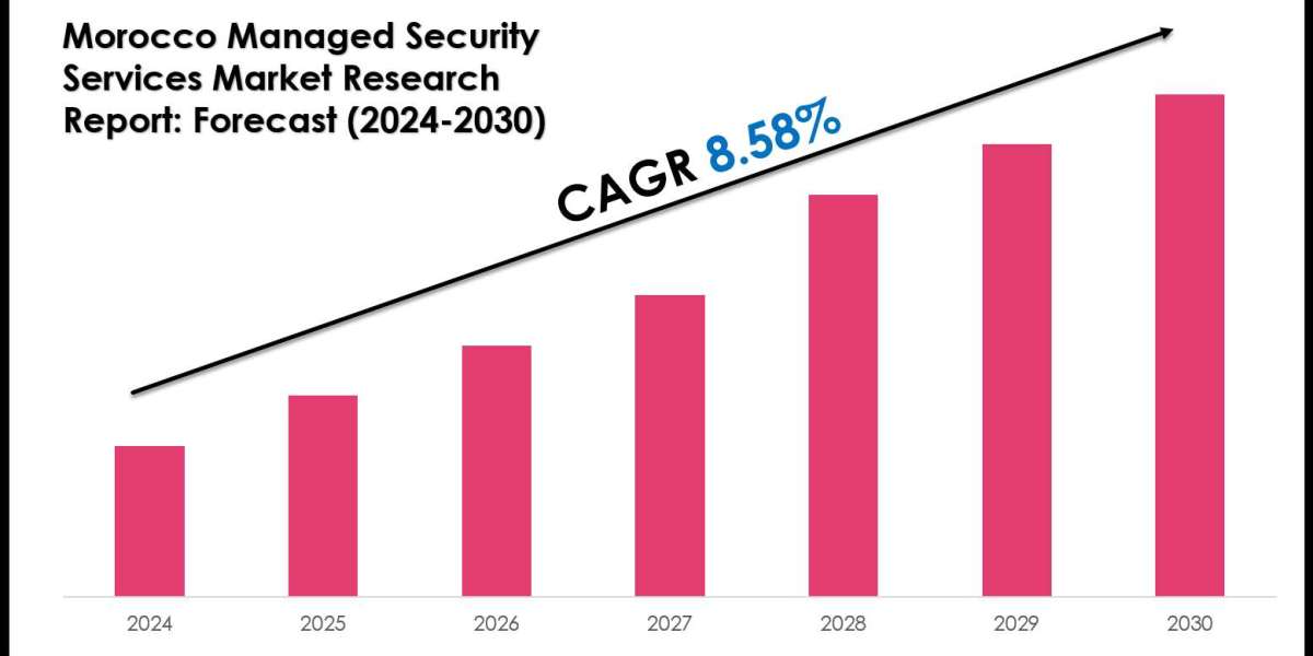 Morocco Managed Security Services Market Forecast 2024-30: Size, Share, CAGR of 8.58%, and Opportunities