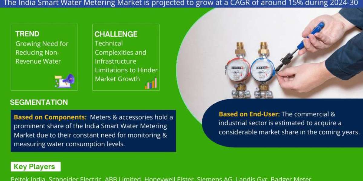 India Smart Water Metering Industry Analysis: Companies, Competitors & Outlook 2030