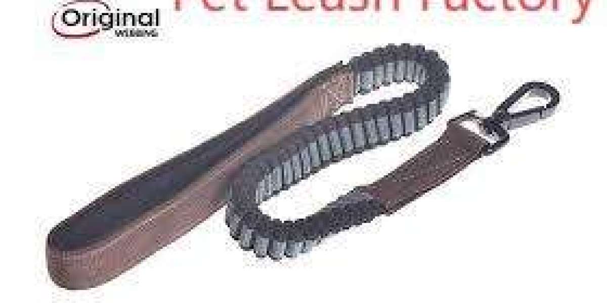 Tallfly Pet Leash Factory: Innovative Design and Reliable Strength for Pet Safety