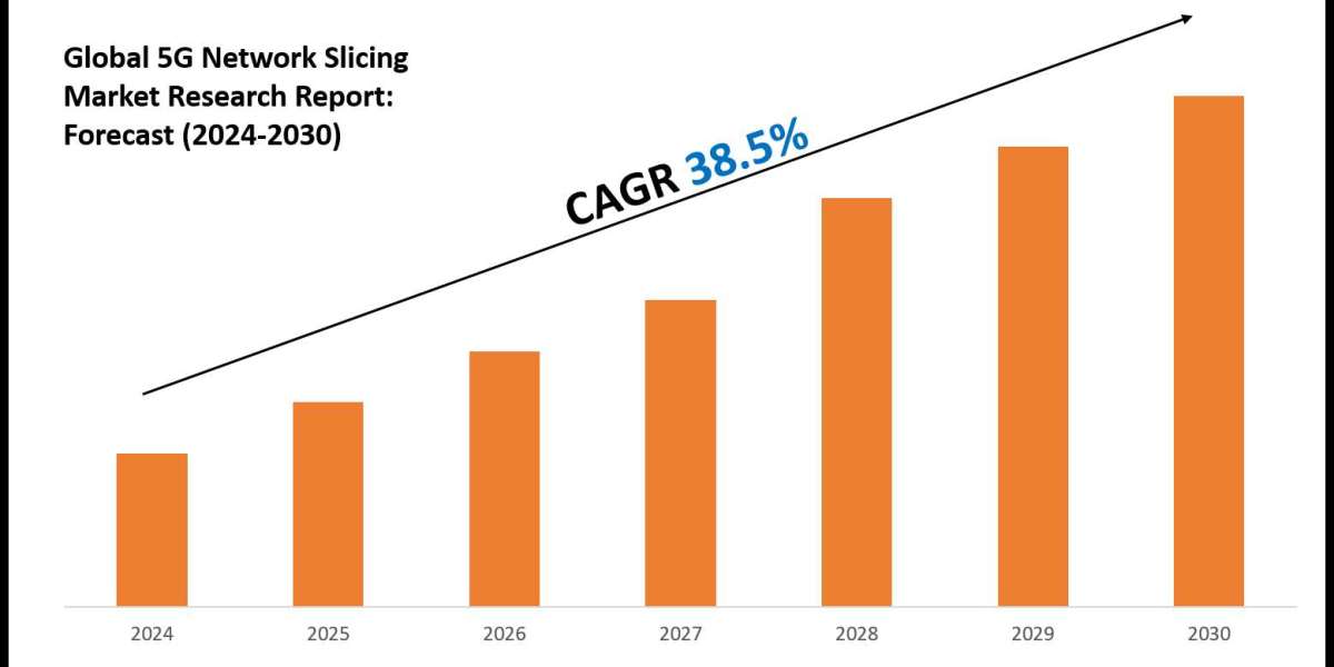 5G Network Slicing Market Size, Share, Growth, and Forecast Analysis 2030