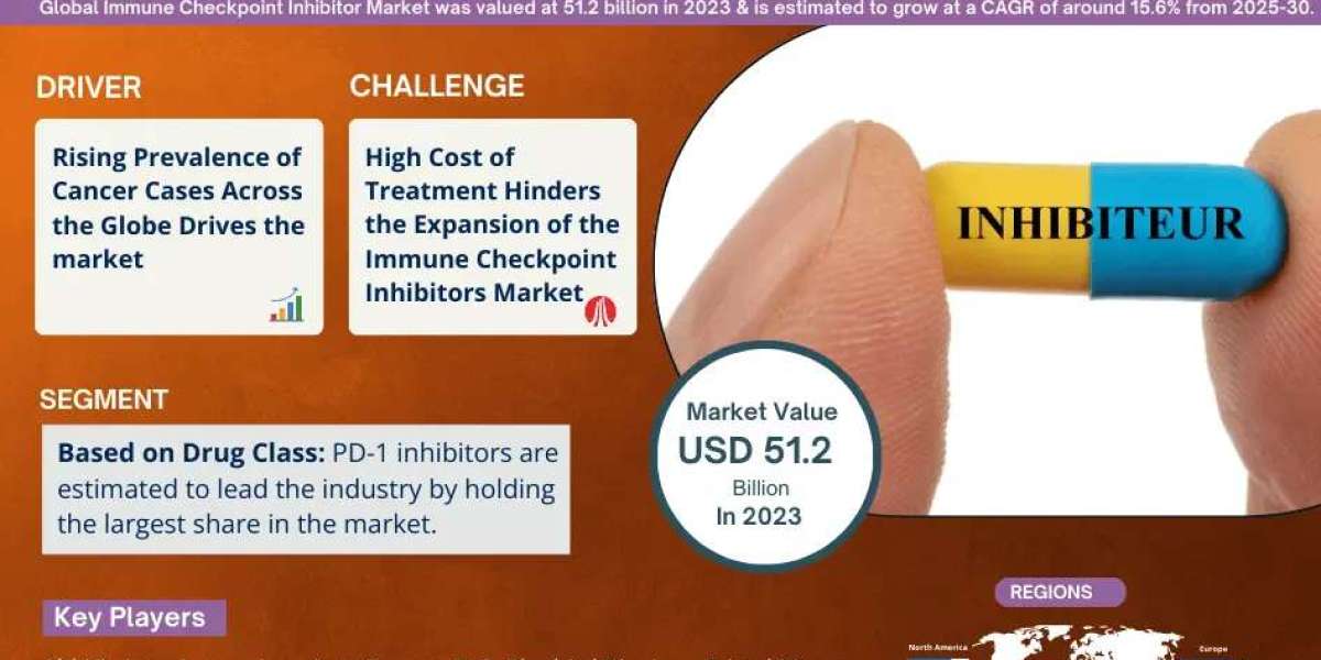 Immune Checkpoint Inhibitors Market Outlook: Size, Share, and Competitive Trends 2030
