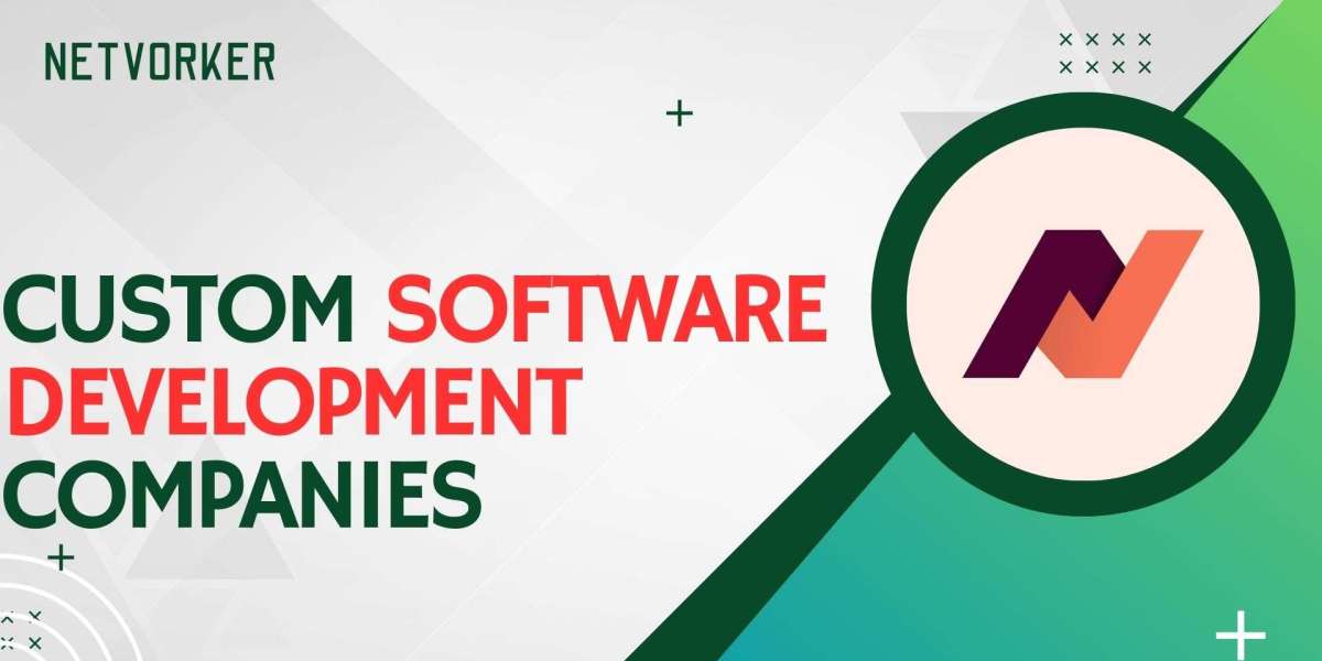 Custom Software Development Companies