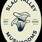Slad Valley Mushrooms