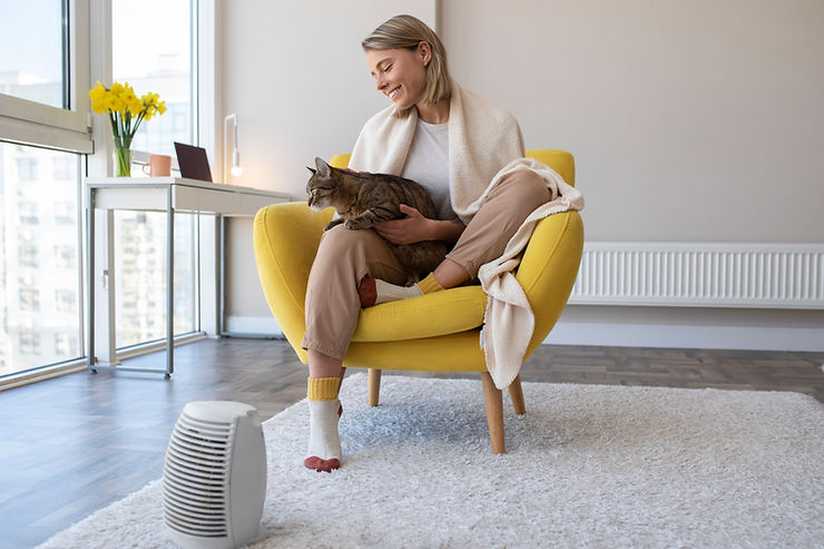Breathe Easy on the Road: Why Every Car Needs a Vehicle Air Purifier – Site Title
