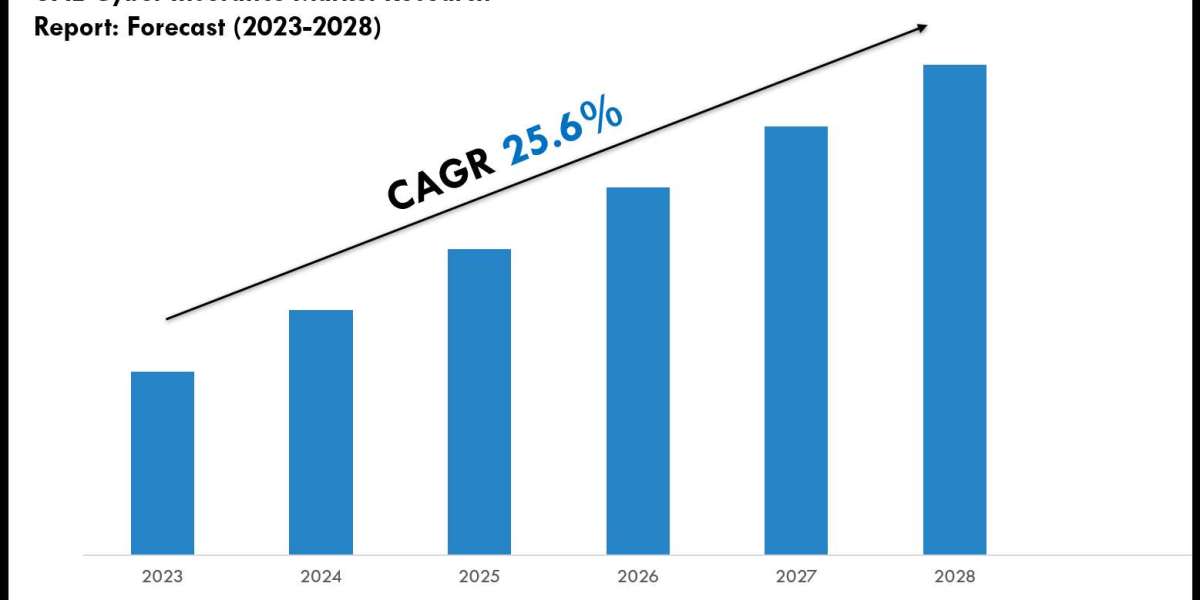 UAE Cyber Insurance Market Size & Share 2028 Key Trends & Projections