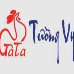 Gà Ta Tường VY