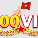 100vip info