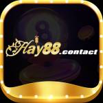 hay88 contact