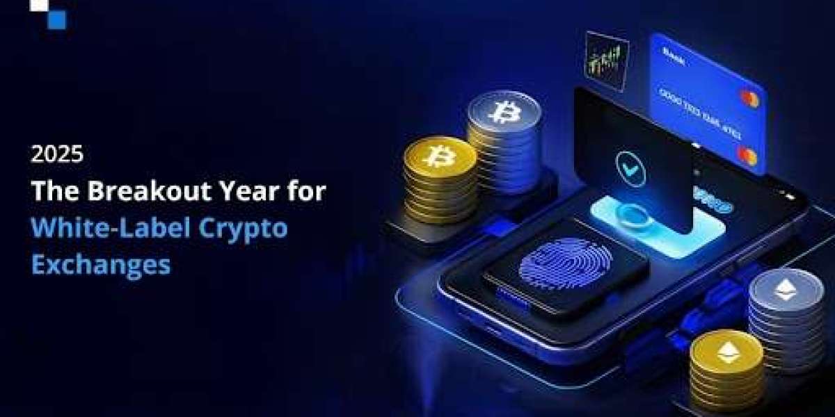Why 2025 Is the Best Year to Launch a White-Label Crypto Exchange in the US