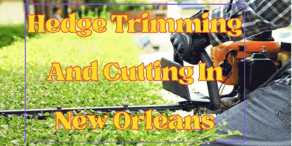 Expert Tree Watering Services in New Orleans: Enhancing Your Tree's Health