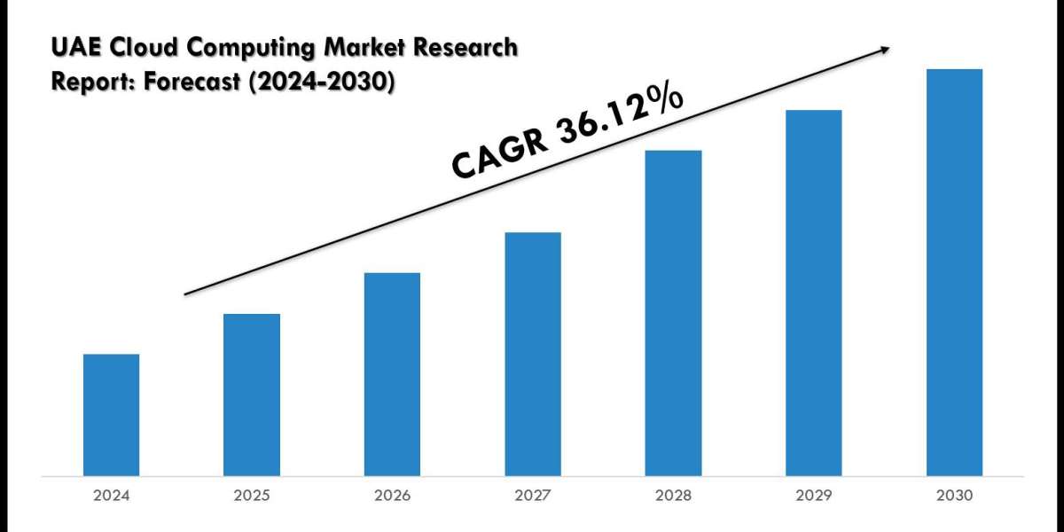 UAE Cloud Computing Market Size, Trends and Forecast Analysis 2025–2030