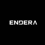Endera Motors