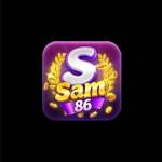 Sam86 report
