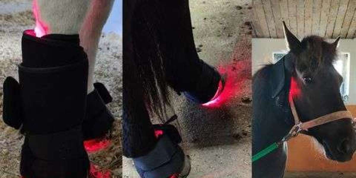 Enhance Equine Health Naturally with the Advanced Equine Light Therapy Pad by SINOCOLed