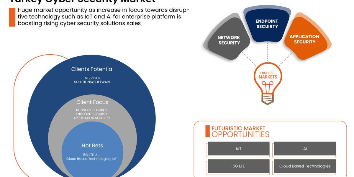 Turkey Cyber Security Market Insights, Growth Drivers, and Forecast Report