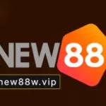 new88wvip5kj
