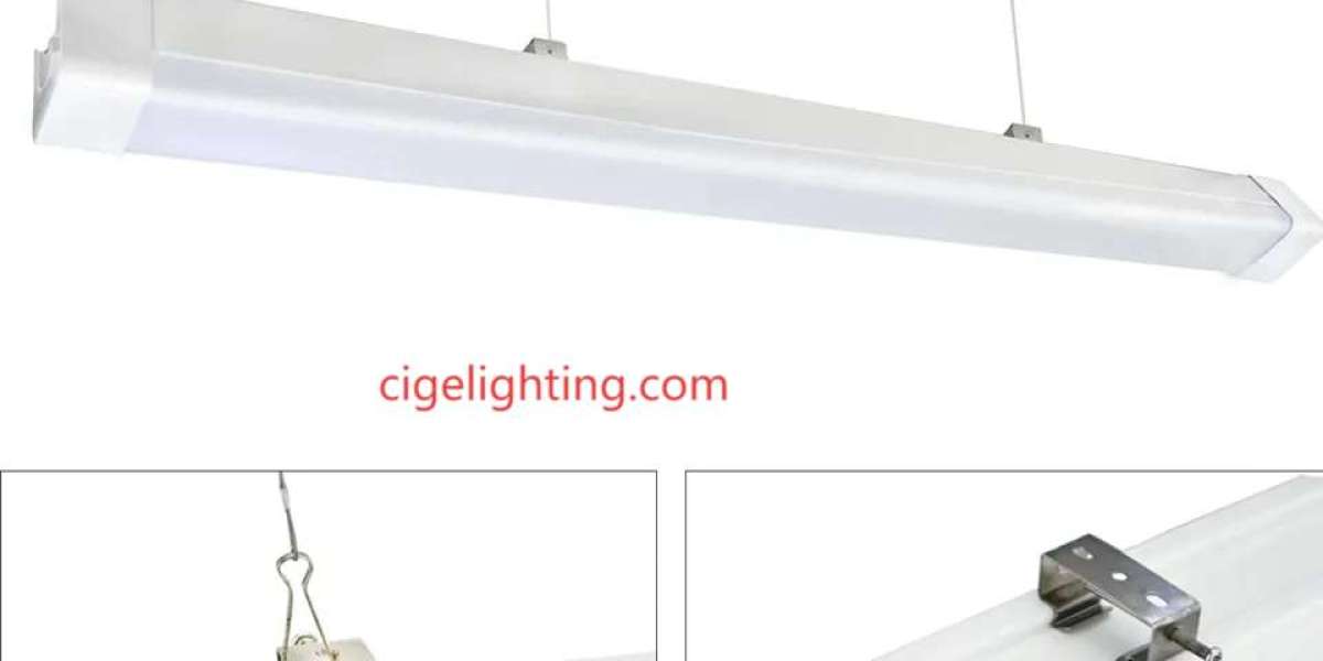 Where Reliability Meets Innovation at Cigelighting’s Triproof Led Light Factory