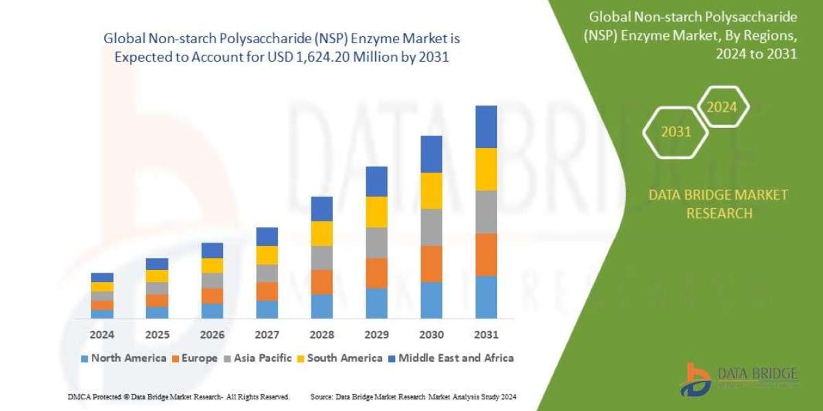 Non-starch Polysaccharide (NSP) Enzyme Market: Insights, Key Players, and Growth Analysis