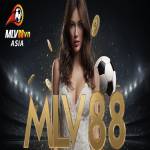 CEO MLV88